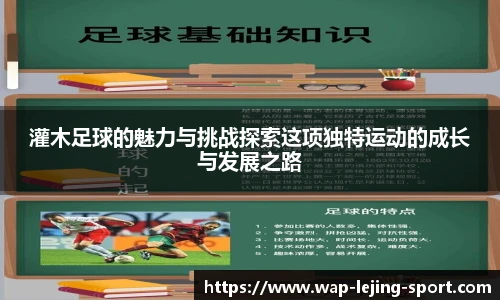 灌木足球的魅力与挑战探索这项独特运动的成长与发展之路